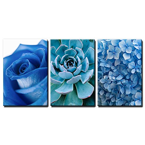 3 Panel Canvas Wall Art - Blue Rose Succulent Plant and Small Blue Flowers - Giclee Print Gallery Wrap - EK CHIC HOME