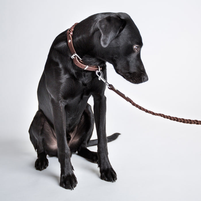 Cloud7: Central Park Saddle Brown Leather Dog Leash [End of Season Sale]