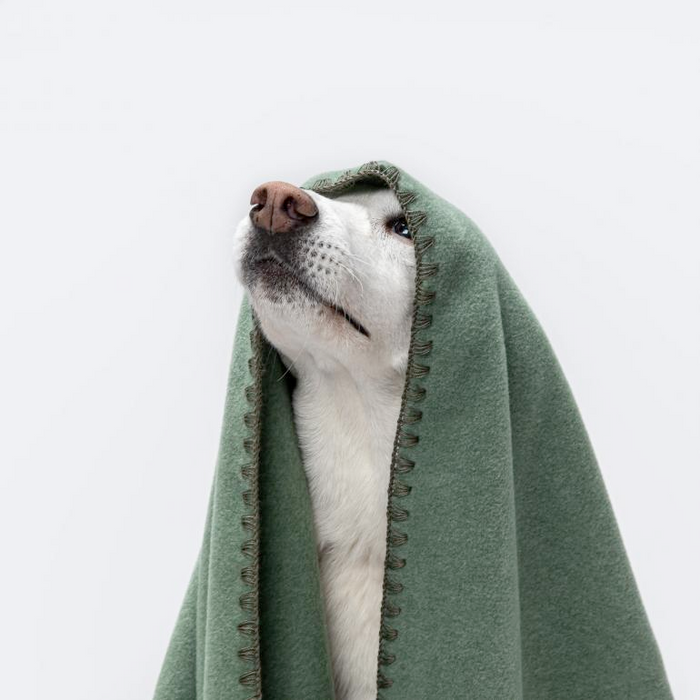 Cloud7 Fleece Dog Blanket Dusty Green Sustainable Luxury Travel Throw