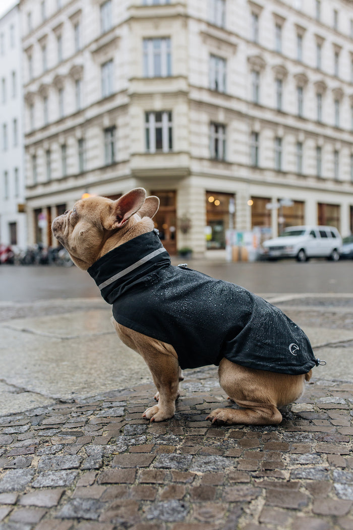 Cloud7 Dublin Dog Rain Coat, Slate - Sustainable & Minimalist Design