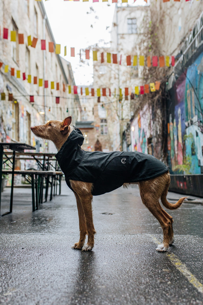 Cloud7 Dublin Dog Rain Coat, Slate - Sustainable & Minimalist Design