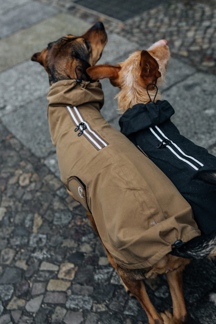 Cloud7 Dublin Dog Rain Coat, Slate - Sustainable & Minimalist Design