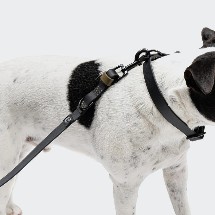Cloud7: Hands Free Dog Leash BioThane Ipanema, Black-Olive