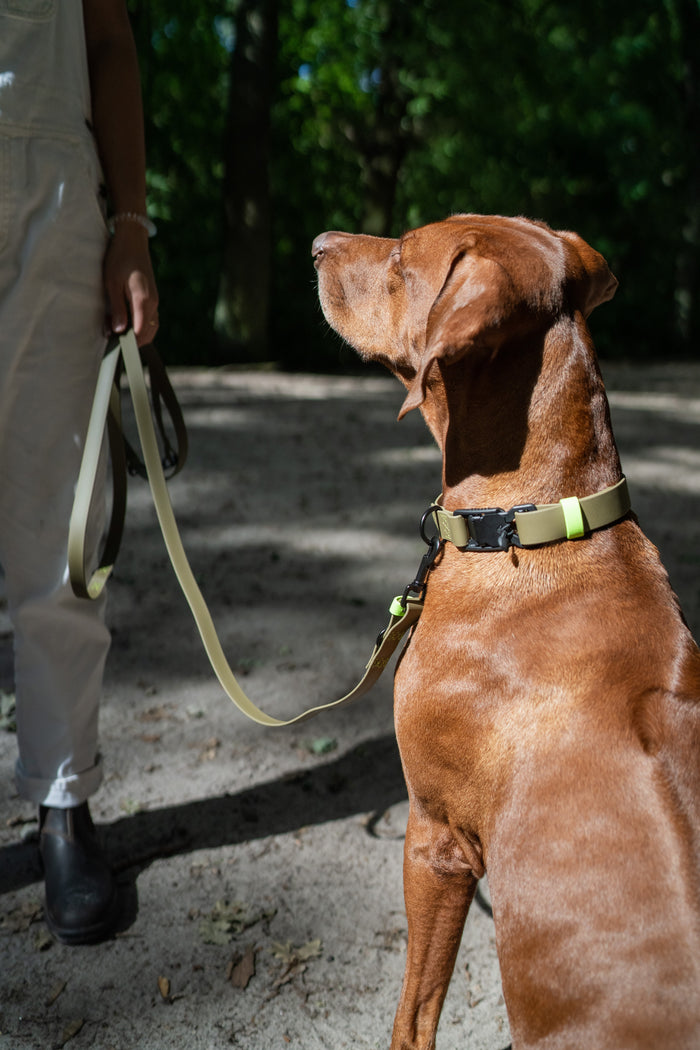 Cloud7: Hands Free Dog Leash BioThane Ipanema, Olive-Neon Green