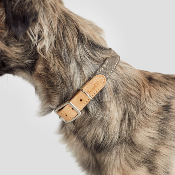 Cloud7: Tivoli Dog Collar in Canvas Leather, Greige