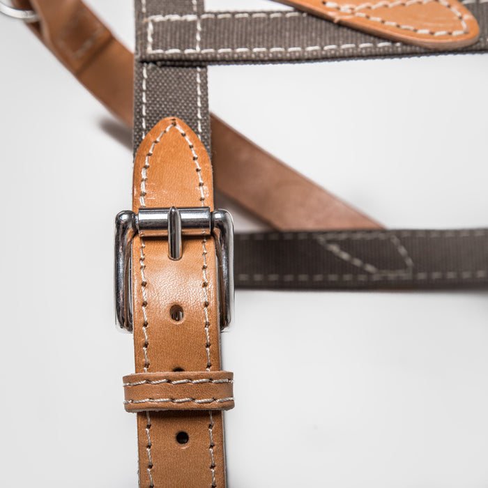 Cloud7: Tivoli Dog Harness in Canvas Leather, Greige