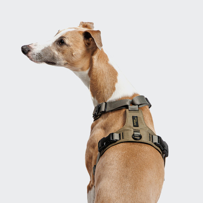 Cloud7 Y-2 AKTIV Cordura Dog Harness, Khaki | Padded & Water-Repellent