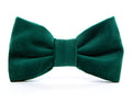 Dog and Cat Bowtie: Forest Green Velvet