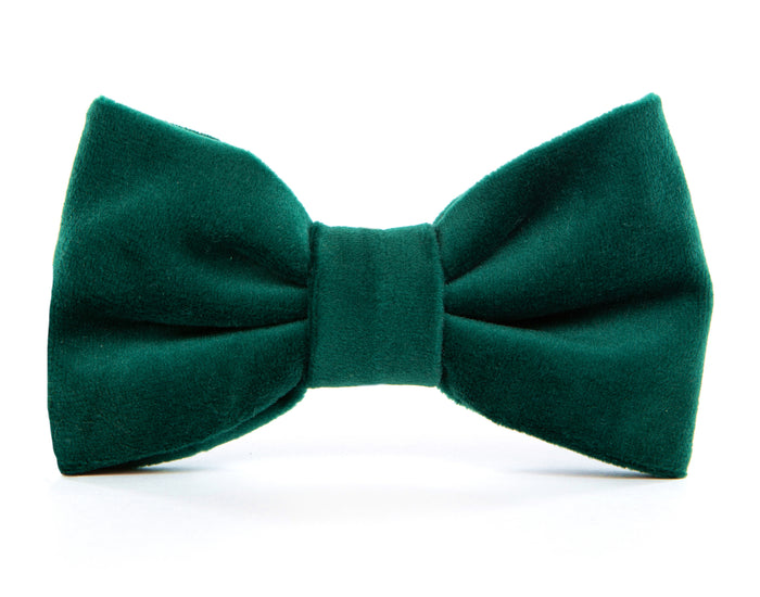 Dog and Cat Bowtie: Forest Green Velvet