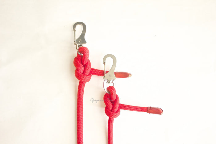 Dog Lead: Red Rope