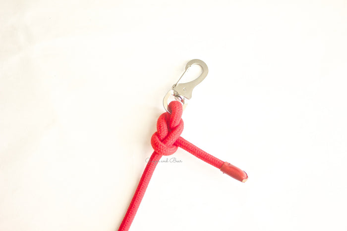 Dog Lead: Red Rope
