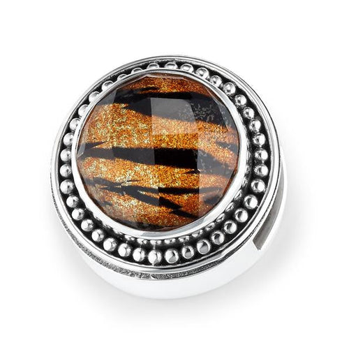 "Eye of The Tiger"  Slide Charm