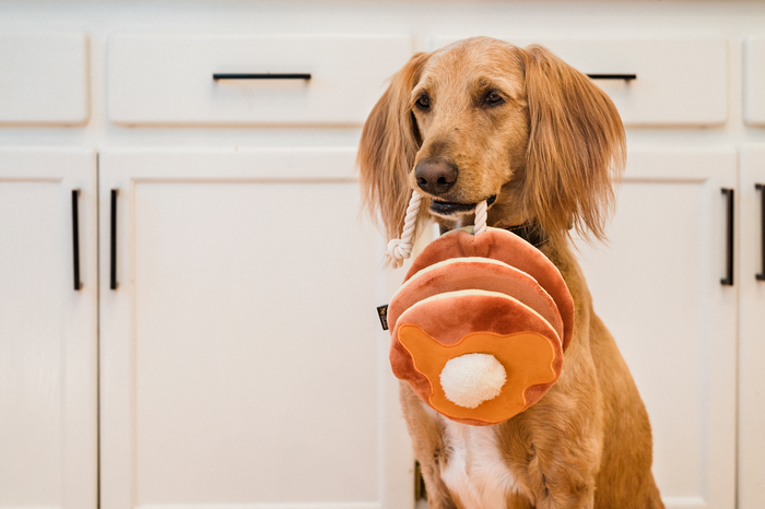 IHOP x P.L.A.Y. Squeaky Plush Dog toys, Breakfast Bundle