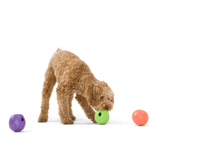 Interactive puzzle, food-dispensing dog toy, Zogoflex Echo Rumbl