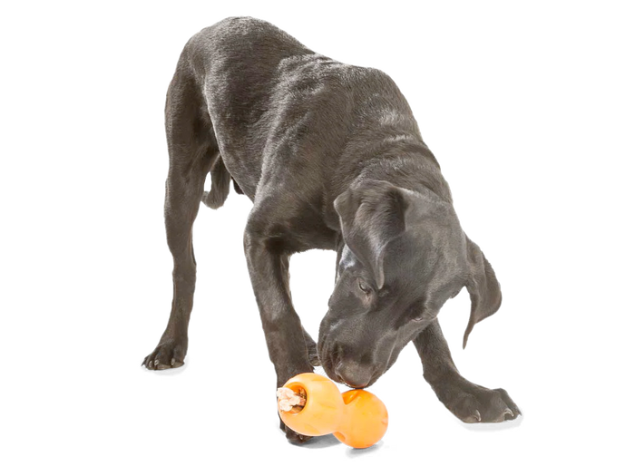 Interactive puzzle, food-dispensing dog toy, Zogoflex Qwizl