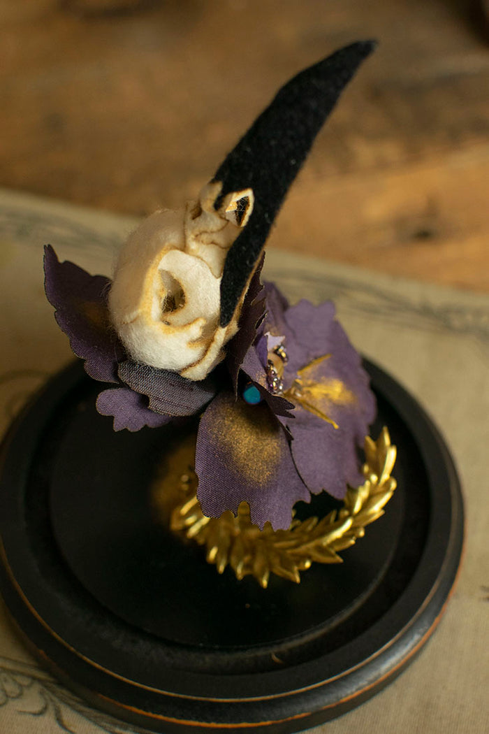 Iris