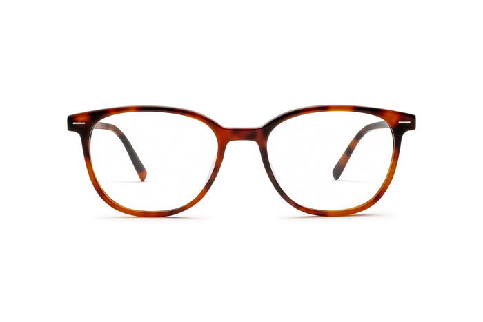 3970101690 Tortoise image-1