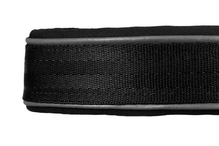 Non-Stop Dog Wear: Cruise Semi-Slip Dog Collar