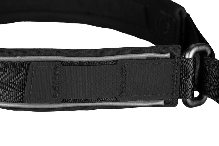 Non-Stop Dog Wear: Cruise Semi-Slip Dog Collar