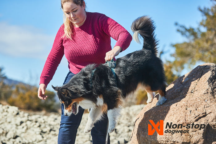 Non-Stop Dog Wear Ramble Harness | Adjustable Dog Harness