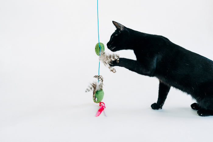 P.L.A.Y. Feline Frenzy Blanc cat wand featuring plush wine bottle and cheese wedge toys.