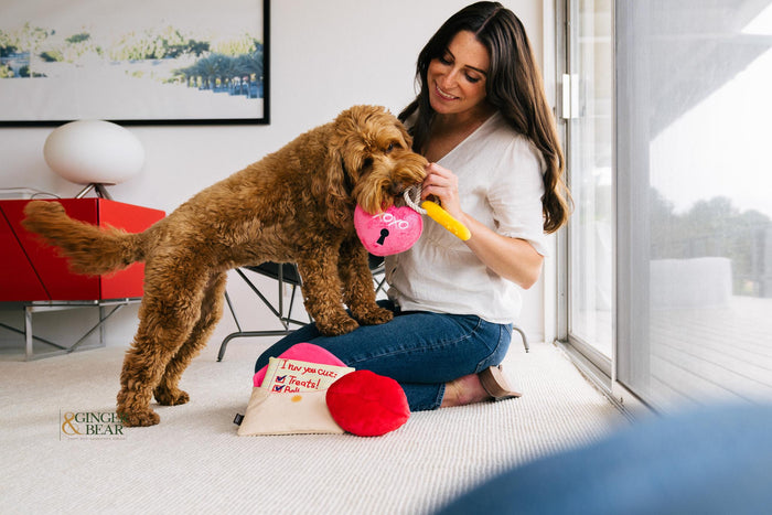 P.L.A.Y. Love Bug Squeaky Plush Dog toys, Bundle