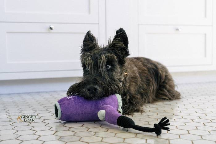 P.L.A.Y. Splish Splash Squeaky Plush Dog toys, Howlin' Hair Dryer
