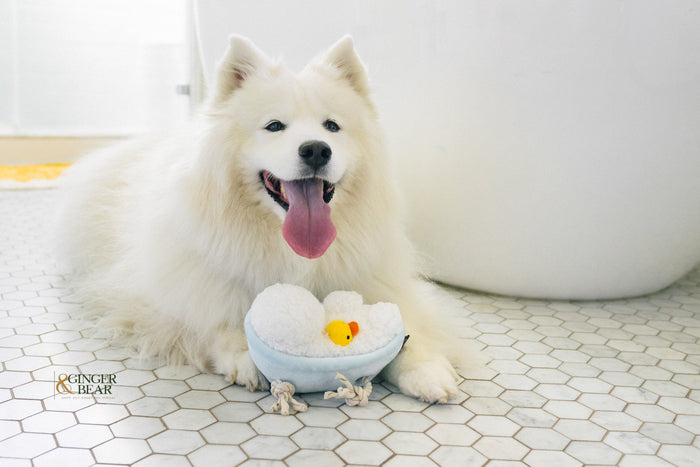 P.L.A.Y. Splish Splash Squeaky Plush Dog toys, Rub-a-dub Tub