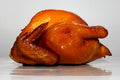 Poussin