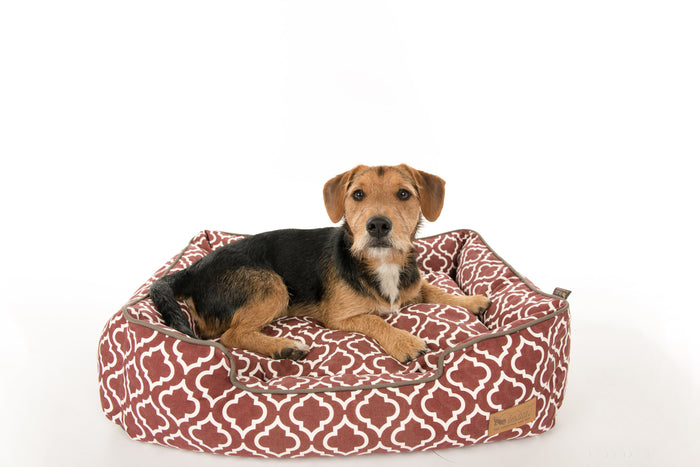 [Pre Order]Lounge Dog Bed: Moroccan Marsala
