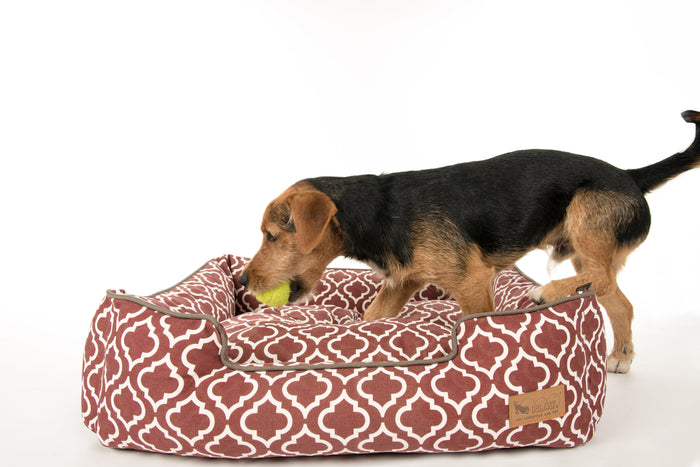 [Pre Order]Lounge Dog Bed: Moroccan Marsala