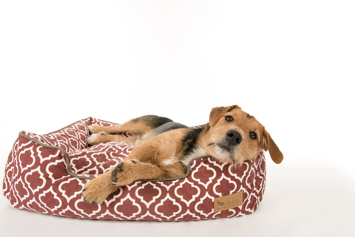 [Pre Order]Lounge Dog Bed: Moroccan Marsala