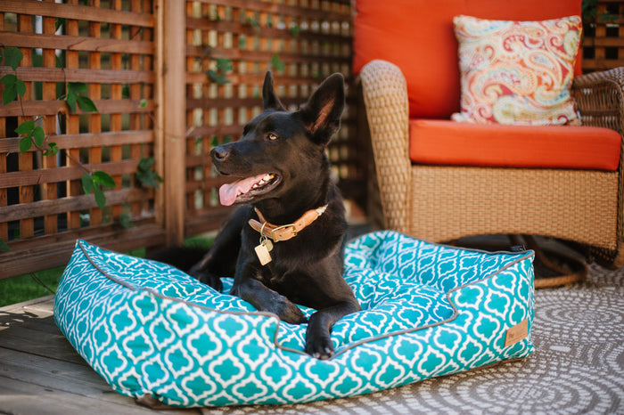 [Pre Order]Lounge Dog Bed: Moroccan Teal