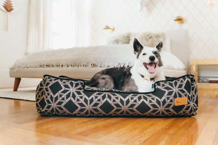 P.L.A.Y. Lounge Dog Bed Solstice Stormy Night