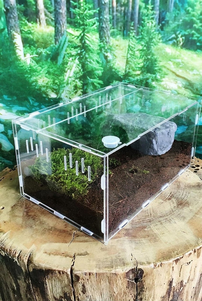 Reptile breeding box
