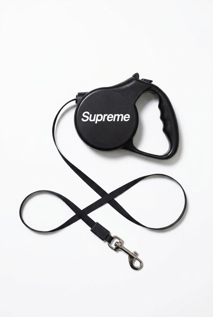 Retractable Leash