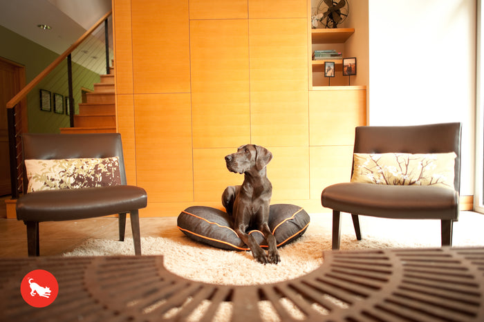 Round Dog Bed, Urban Denim MedievalBlue and Mandarin