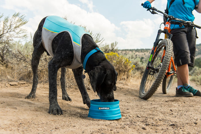 Ruffwear Dog Cooling Vest: Jetstream (FINAL SALE)