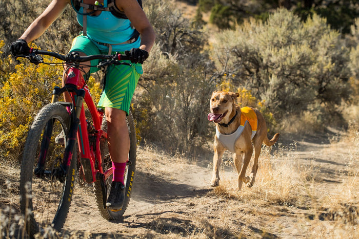 Ruffwear Dog Cooling Vest: Jetstream (FINAL SALE)