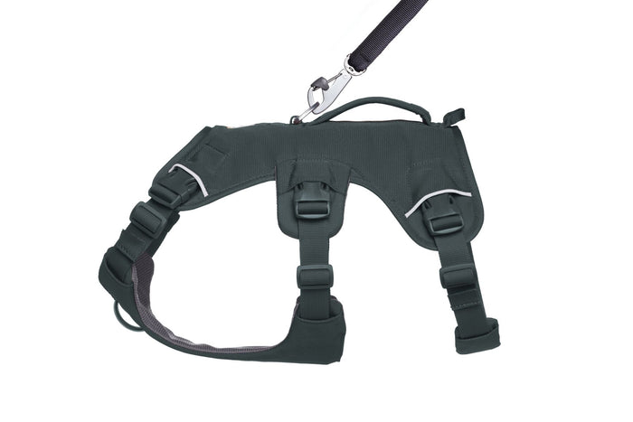 Ruffwear Dog Harness with Neck Buckle and Handle: Web Master