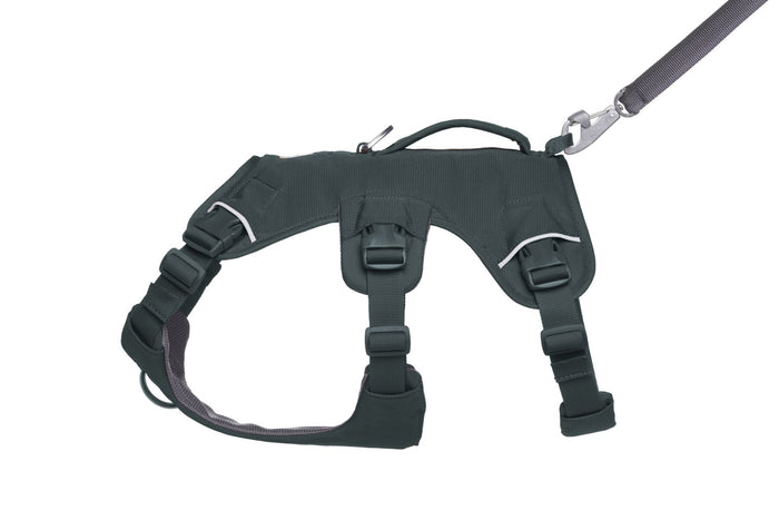 Ruffwear Dog Harness with Neck Buckle and Handle: Web Master