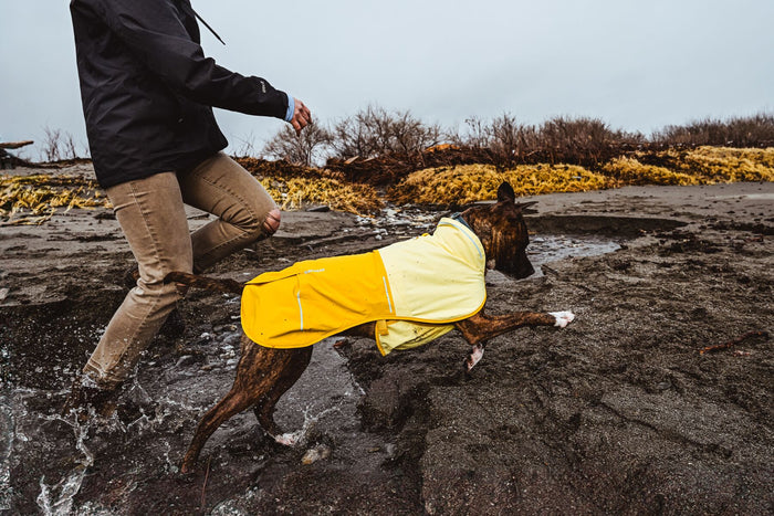Ruffwear Dog Rain Coat: Sun Shower Jacket