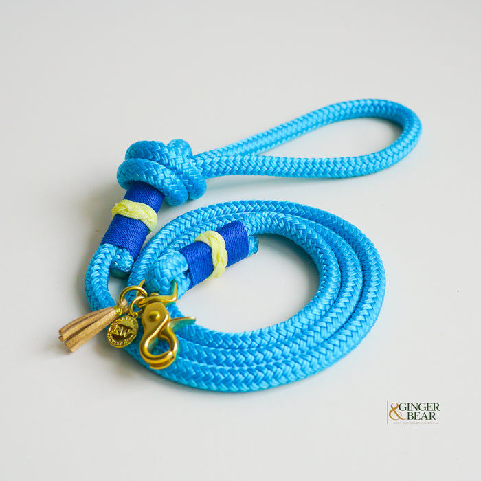 Rugged Hudson Dog Leash: Knotted Yellow on Light Blue rope