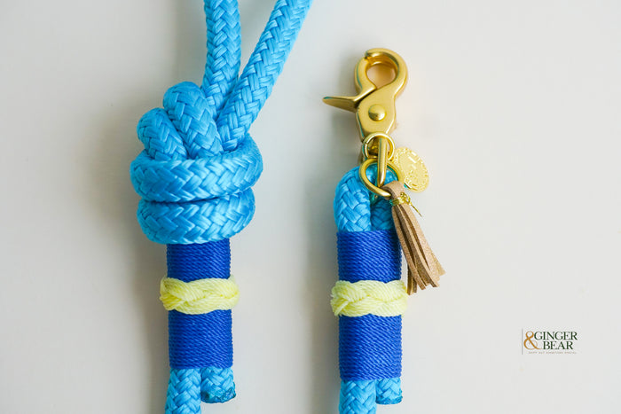 Rugged Hudson Dog Leash: Knotted Yellow on Light Blue rope
