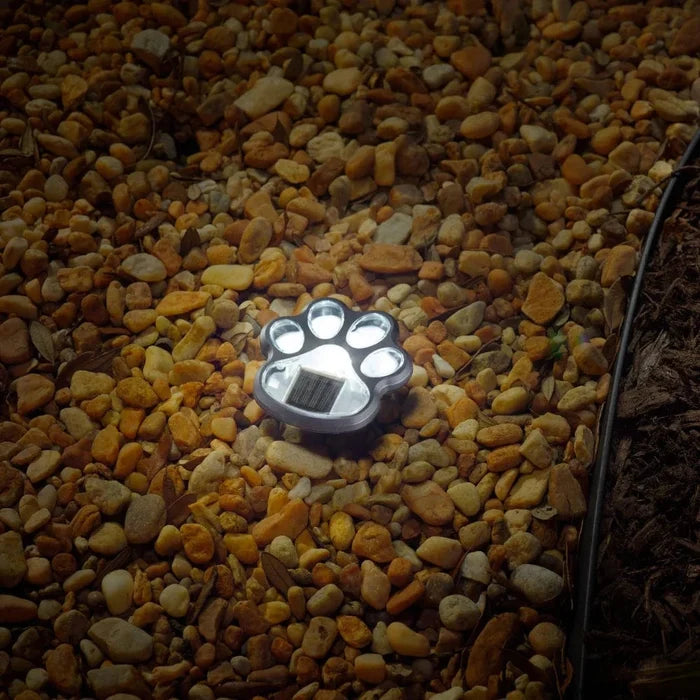 Smart Solar Paw Print Solar Accent Lights - Set of 6 3341WMM6