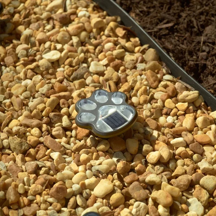 Smart Solar Paw Print Solar Accent Lights - Set of 6 3341WMM6