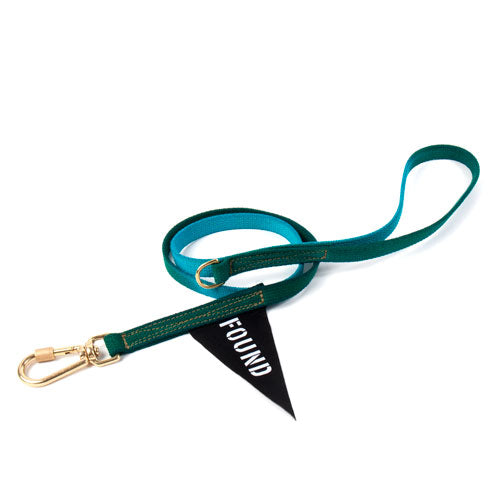 Standard Cotton Webbing Dog Leash: Teal Green