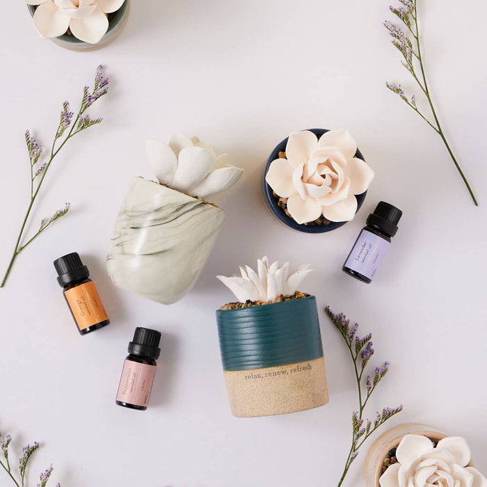Succulent Oil Diffuser – Relax by Demdaco