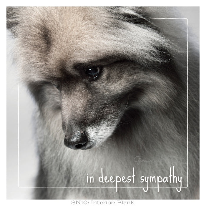 Sympathy: Rex's In Deepest Sympathy