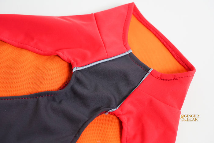 The Rain Paw, raincoat for Dogs, in Red and Graphite